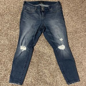 𝕋𝕠𝕣𝕣𝕚𝕕 ℙ𝕣𝕖𝕞𝕚𝕦𝕞 𝕁𝕖𝕘𝕘𝕚𝕟𝕘𝕤